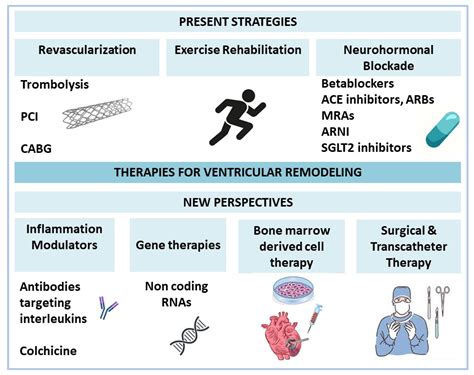 lv enhancing therapies|reverse lv recovery.